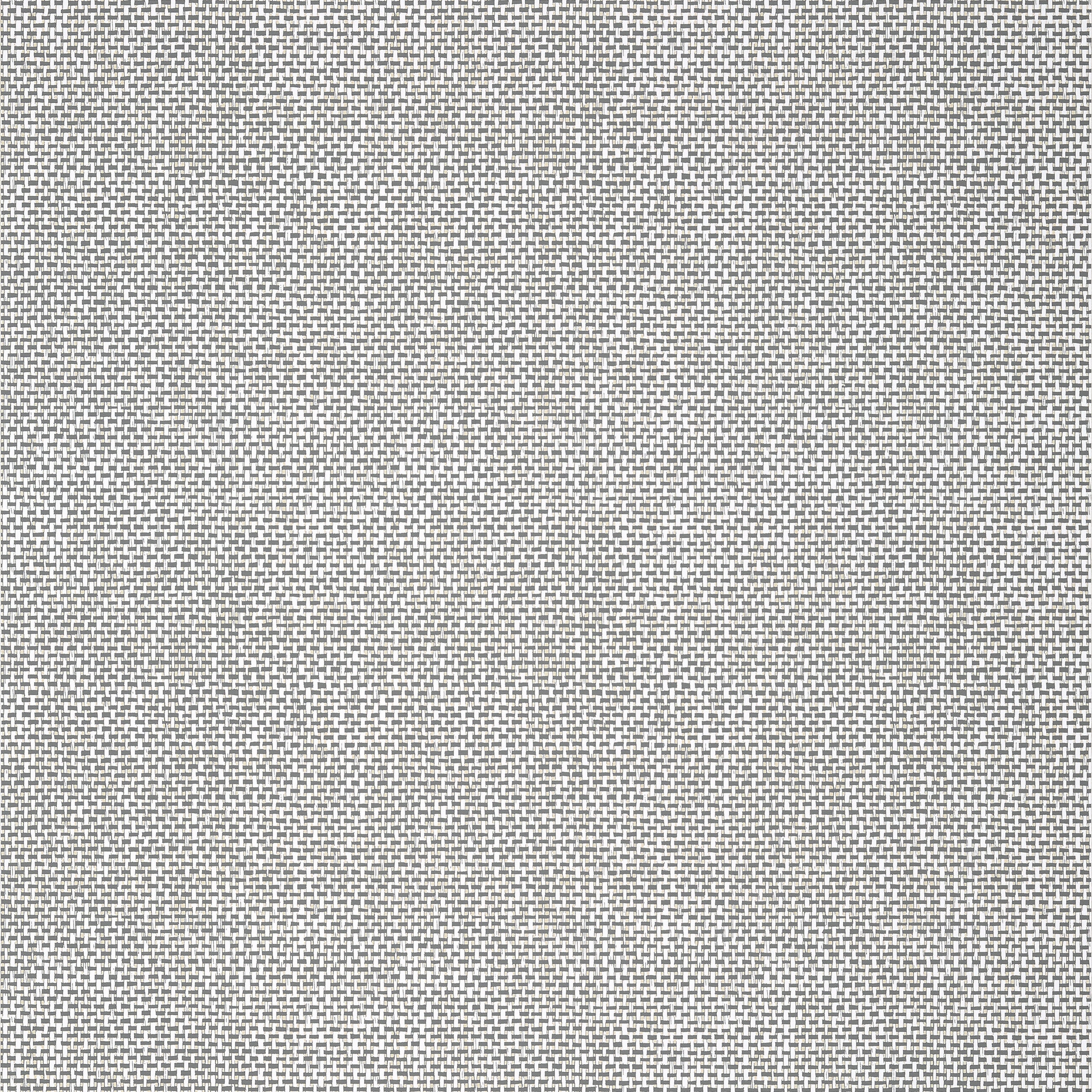 Thibaut Palawan Behang T16264 - Charcoal
