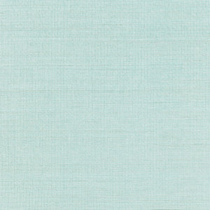 Thibaut Shang Extra Fine Sisal Behang T19615 - Seaglass