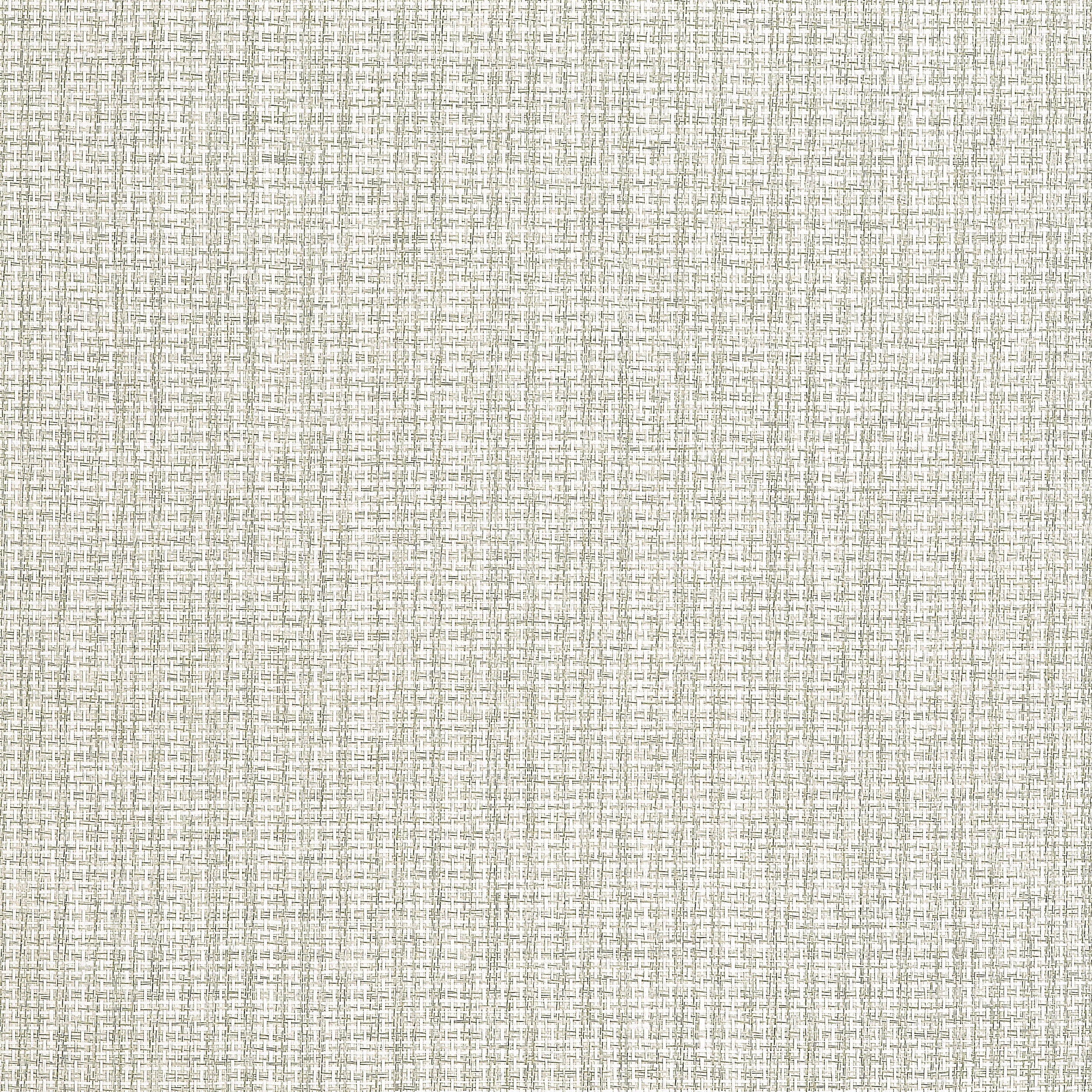 Thibaut Coastline Behang T19661 - Light Moss