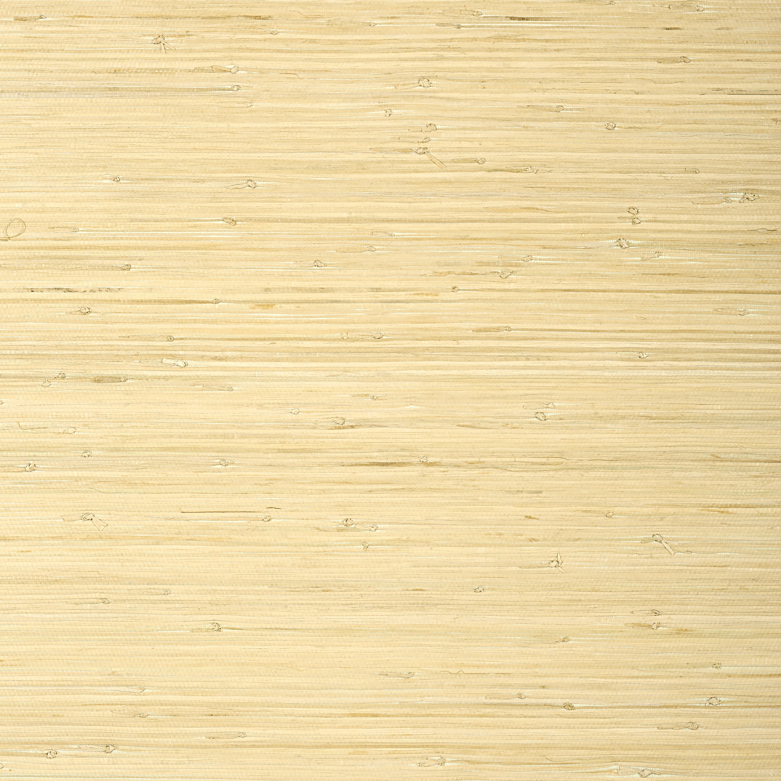 Thibaut Raffia Palm Behang T24065 - Natural