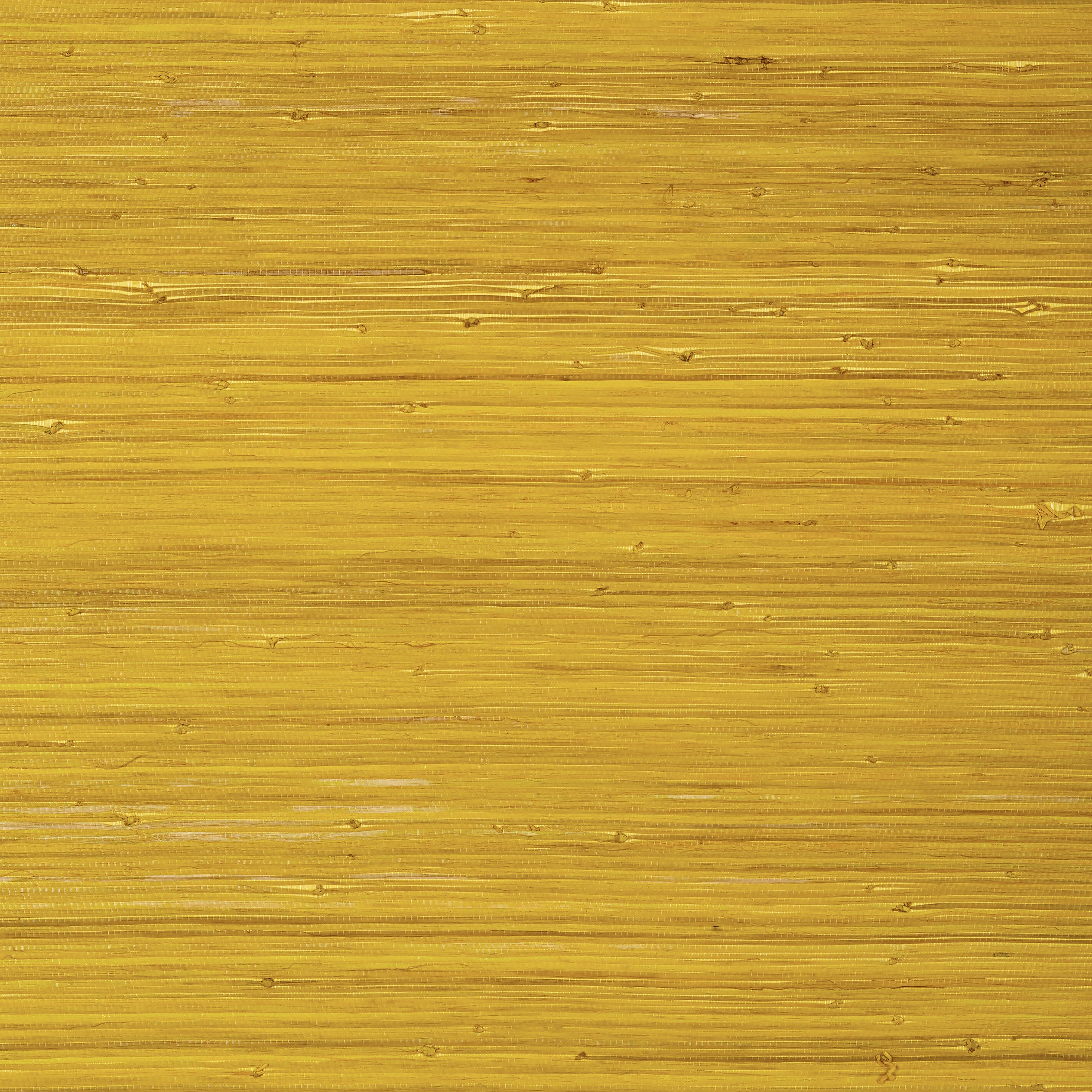 Thibaut Raffia Palm Behang T24069 - Yellow
