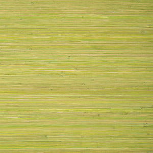 Thibaut Raffia Palm Behang T24070 - Apple Green
