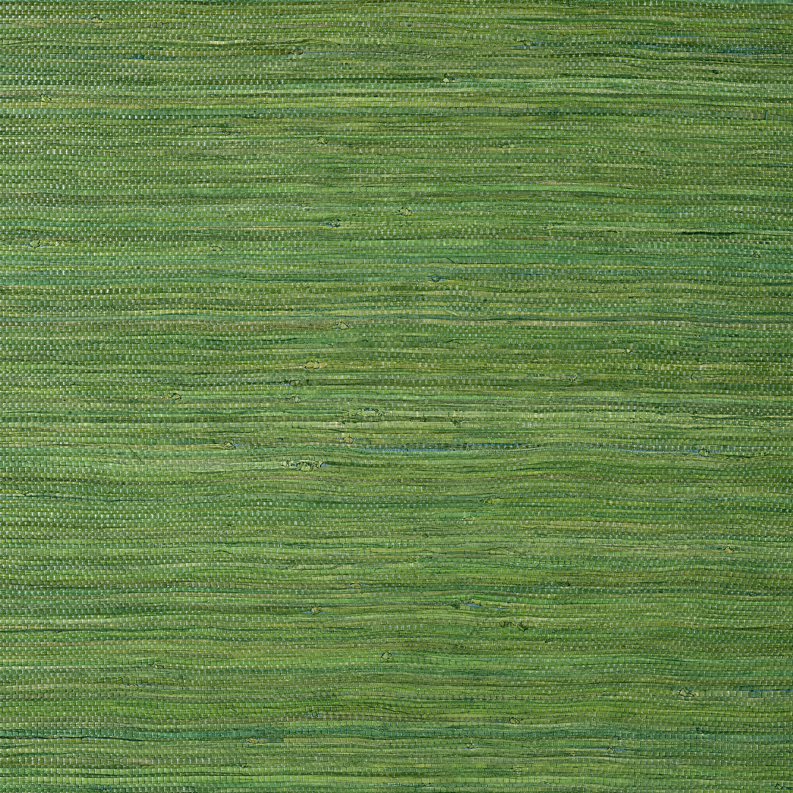 Thibaut Raffia Palm Behang T24074 - Emerald Green
