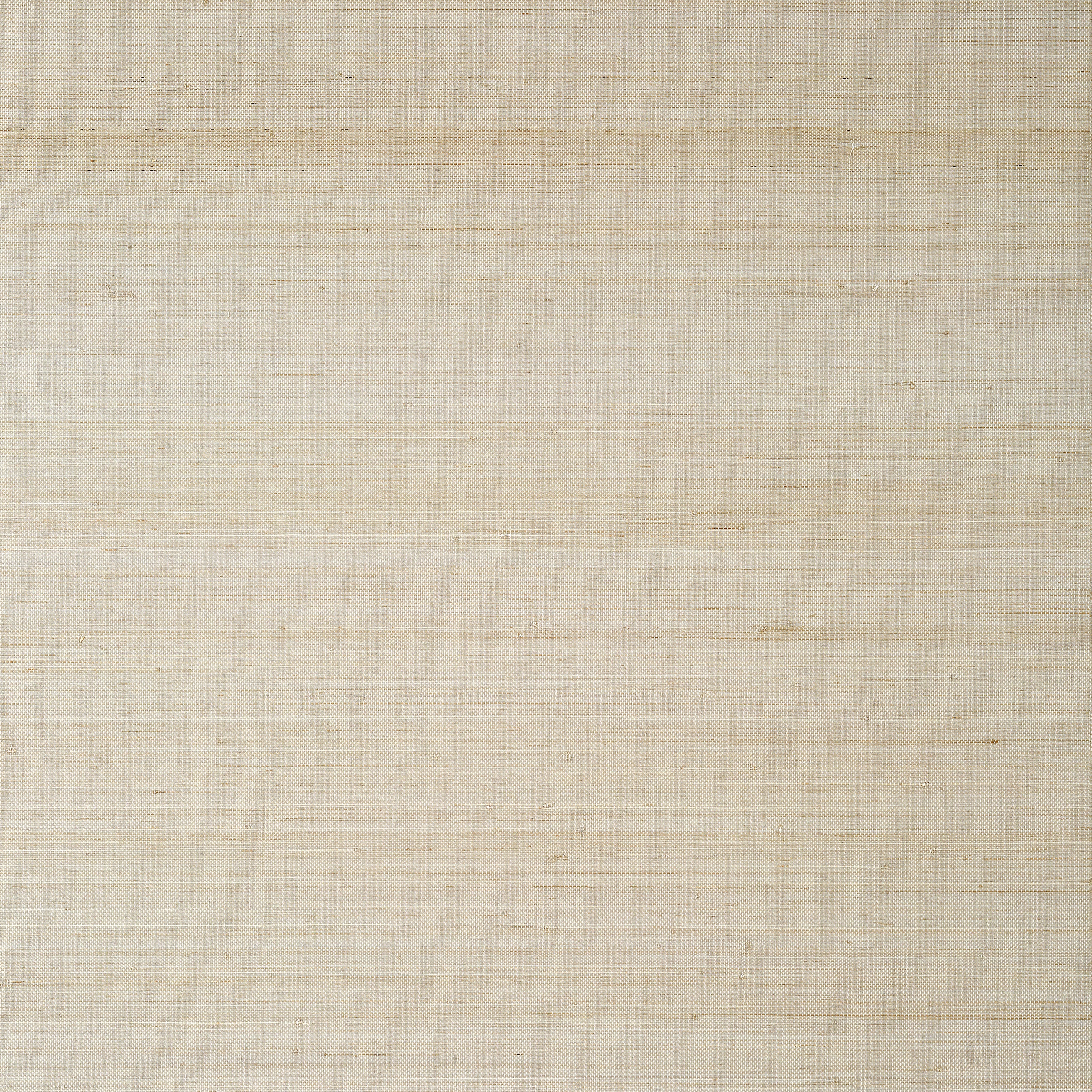 Thibaut Tabacon Abaca Behang T24097 - Taupe