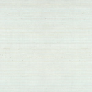 Thibaut Tabacon Abaca Behang T24098 - Robin's Egg