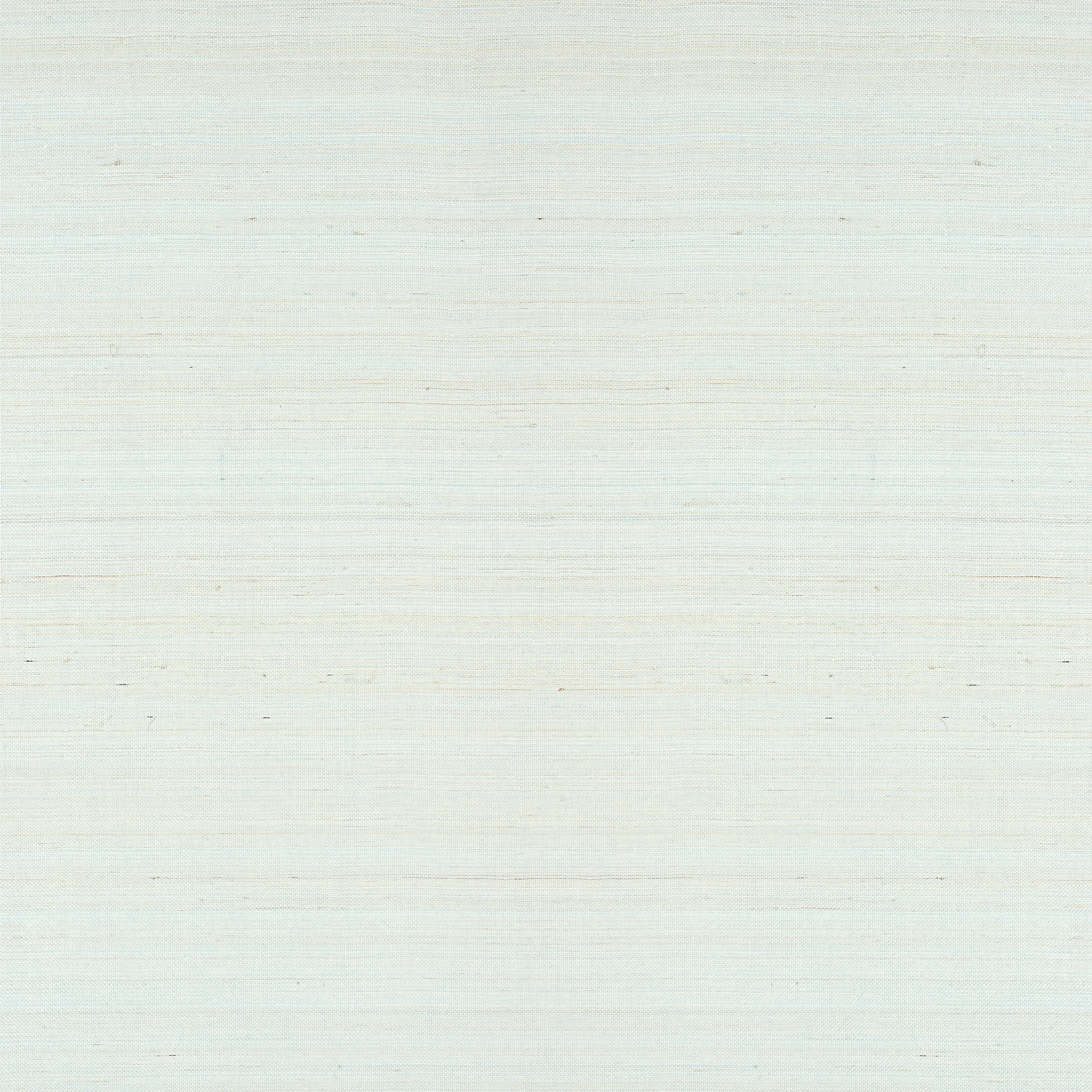 Thibaut Tabacon Abaca Behang T24098 - Robin's Egg