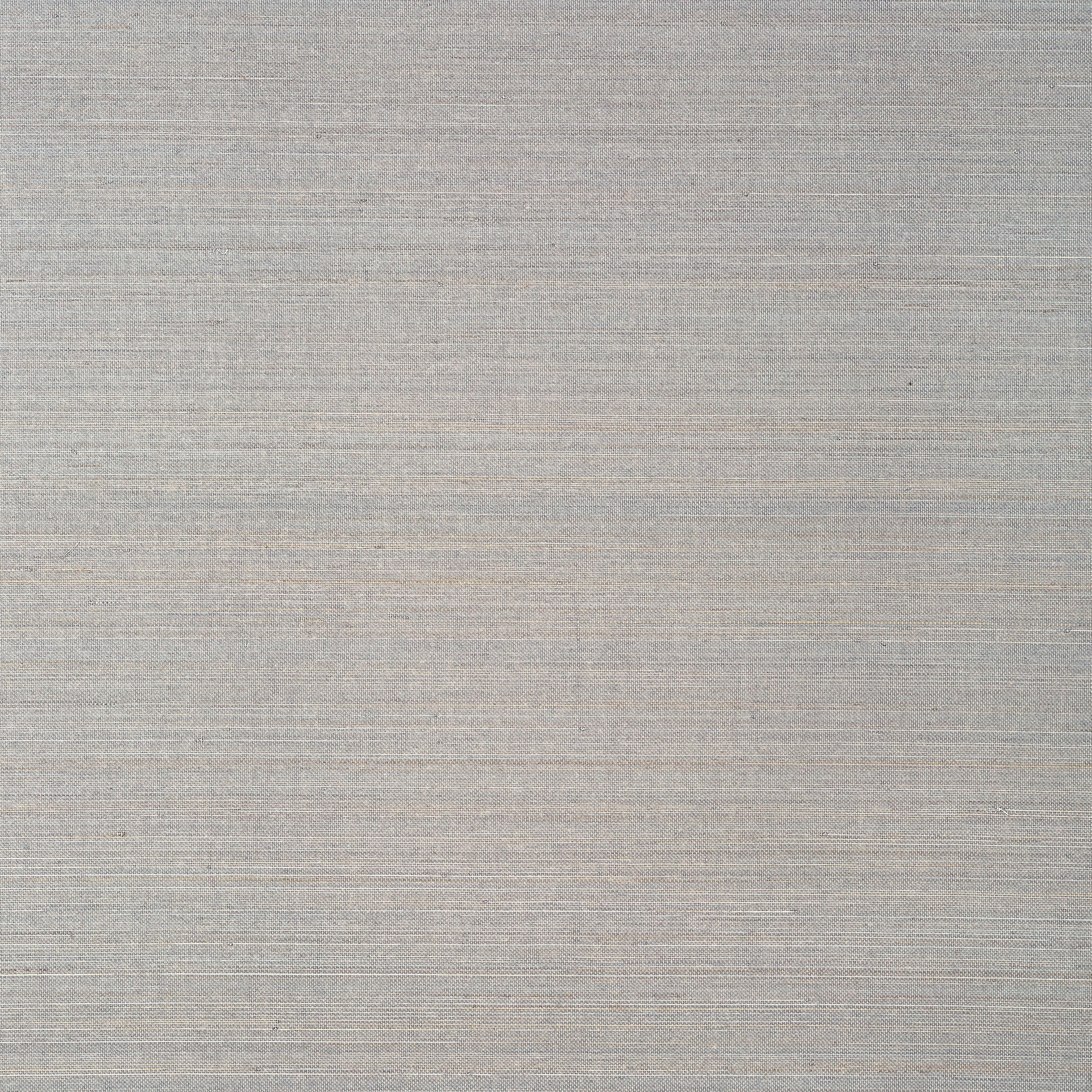 Thibaut Tabacon Abaca Behang T24099 - Charcoal