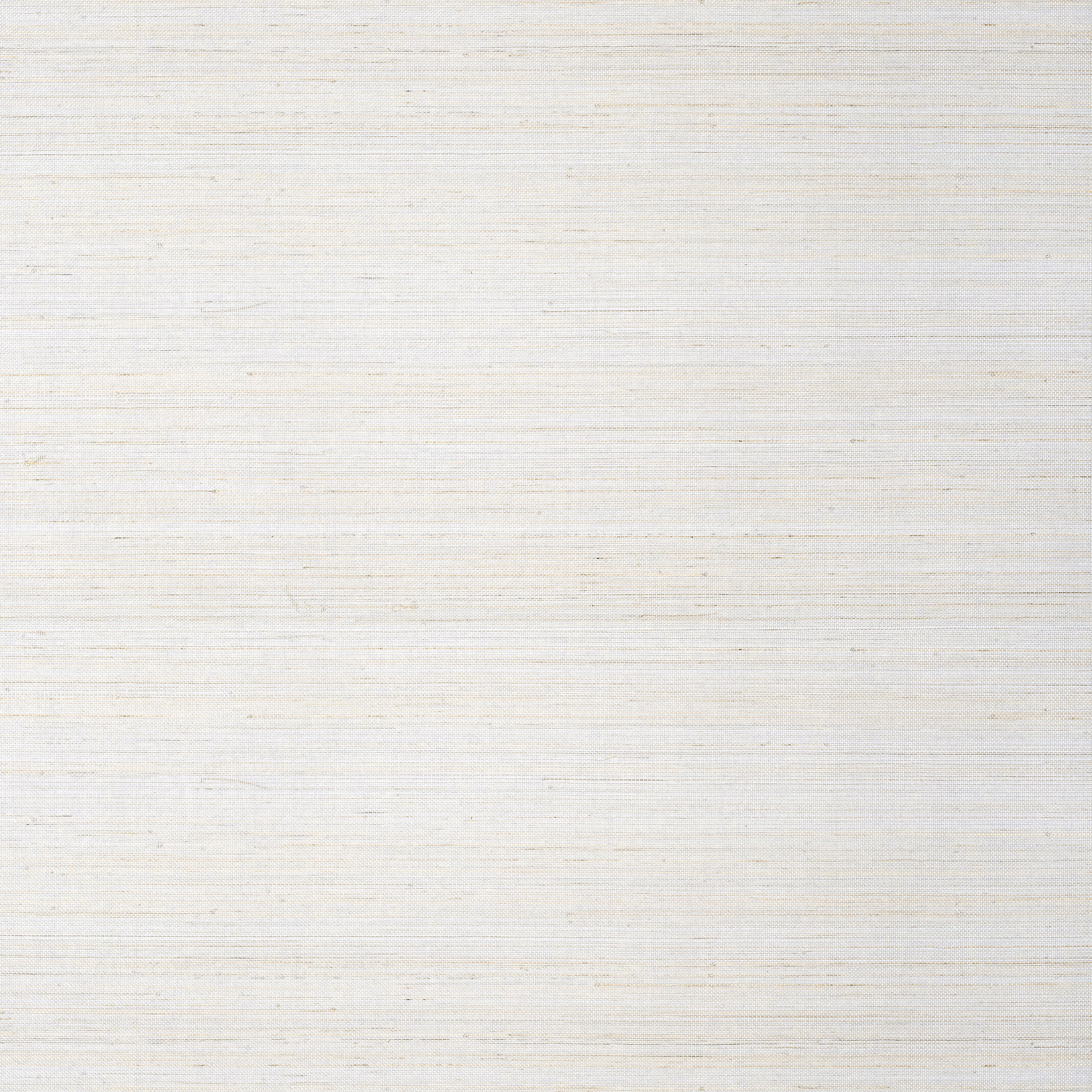 Thibaut Tabacon Abaca Behang T24100 - Light Grey