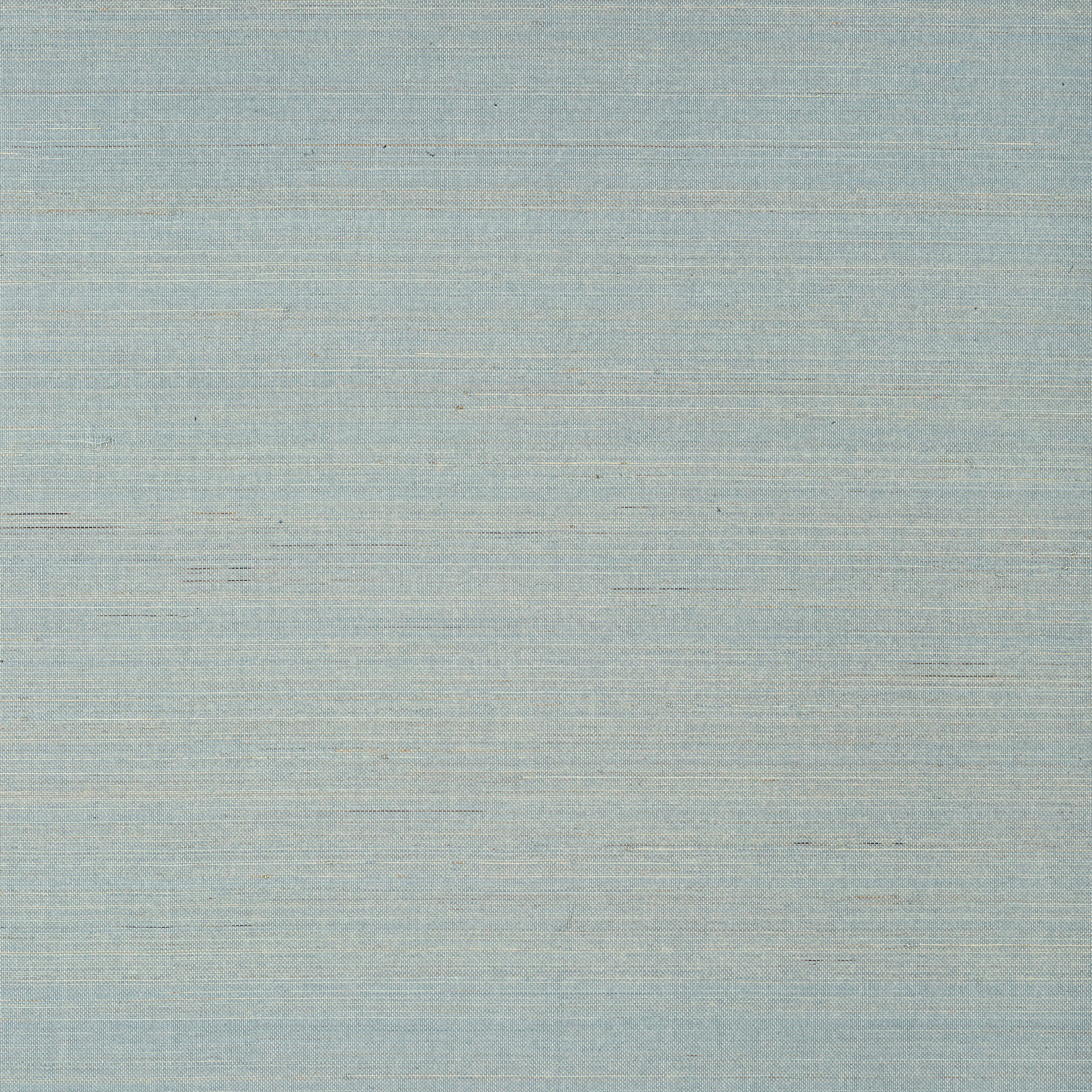 Thibaut Tabacon Abaca Behang T24120 - Mineral