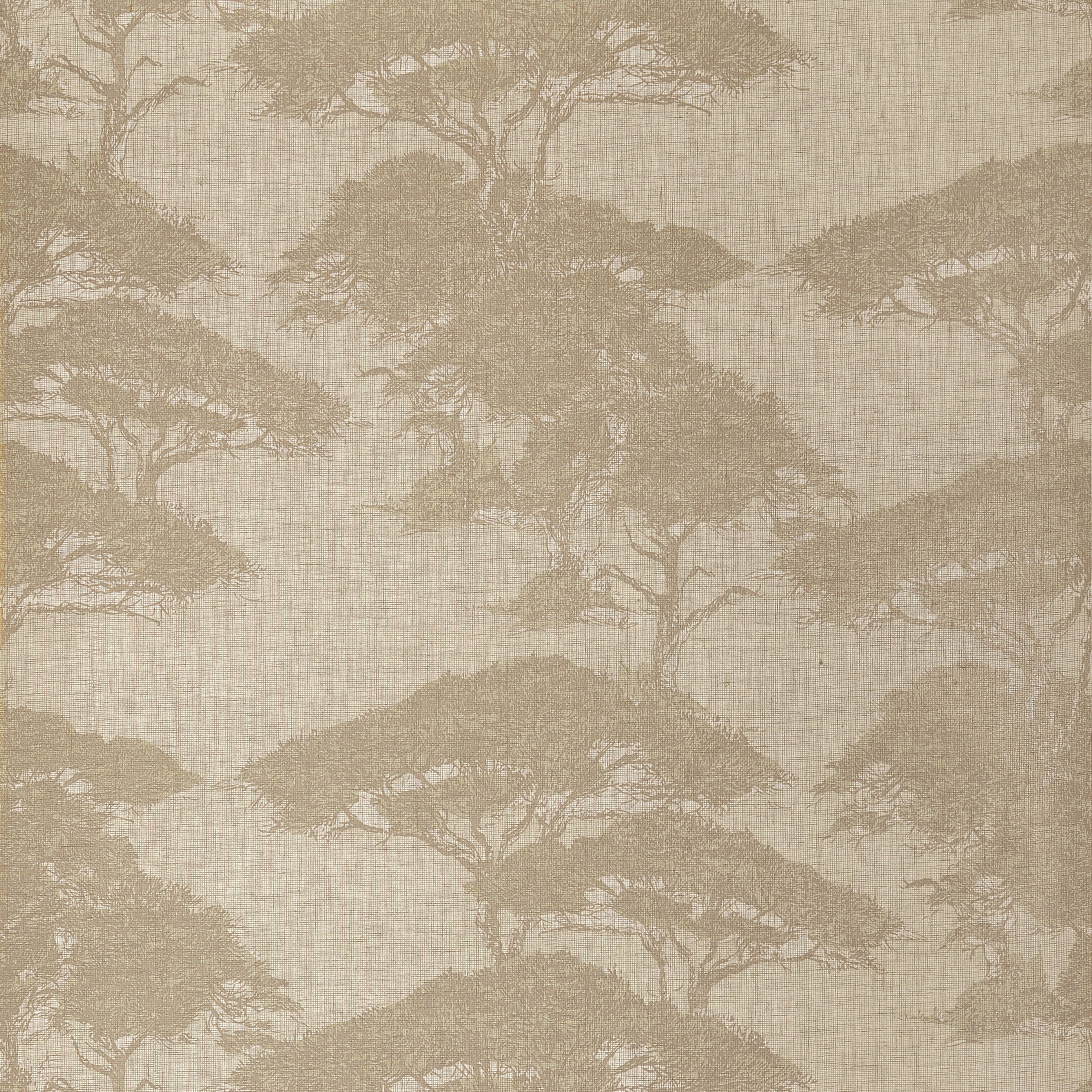 Thibaut Torrey Pines Behang T24436 - Champagne