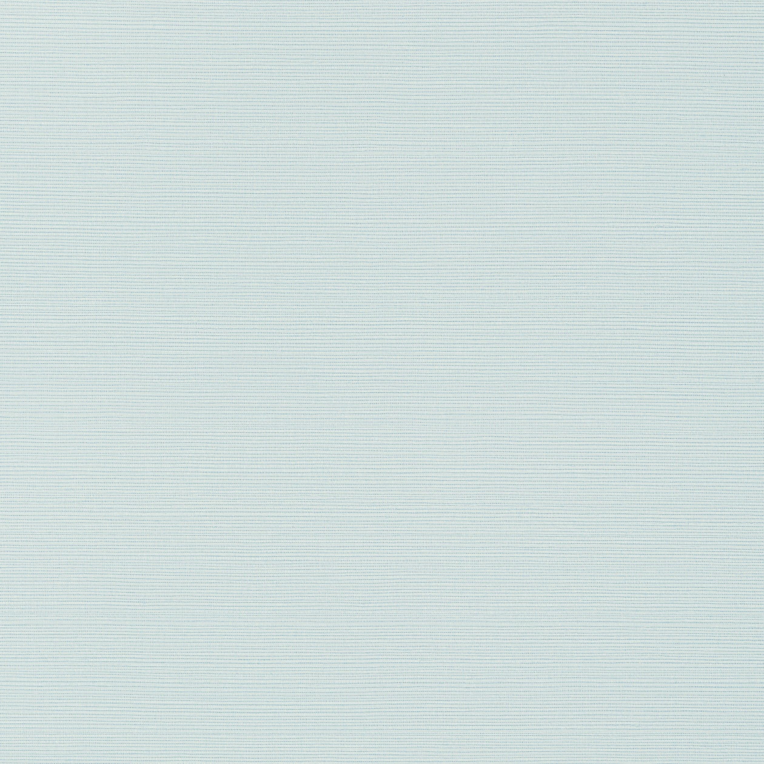 Thibaut Taluk Sisal Behang T284 - Robin's Egg