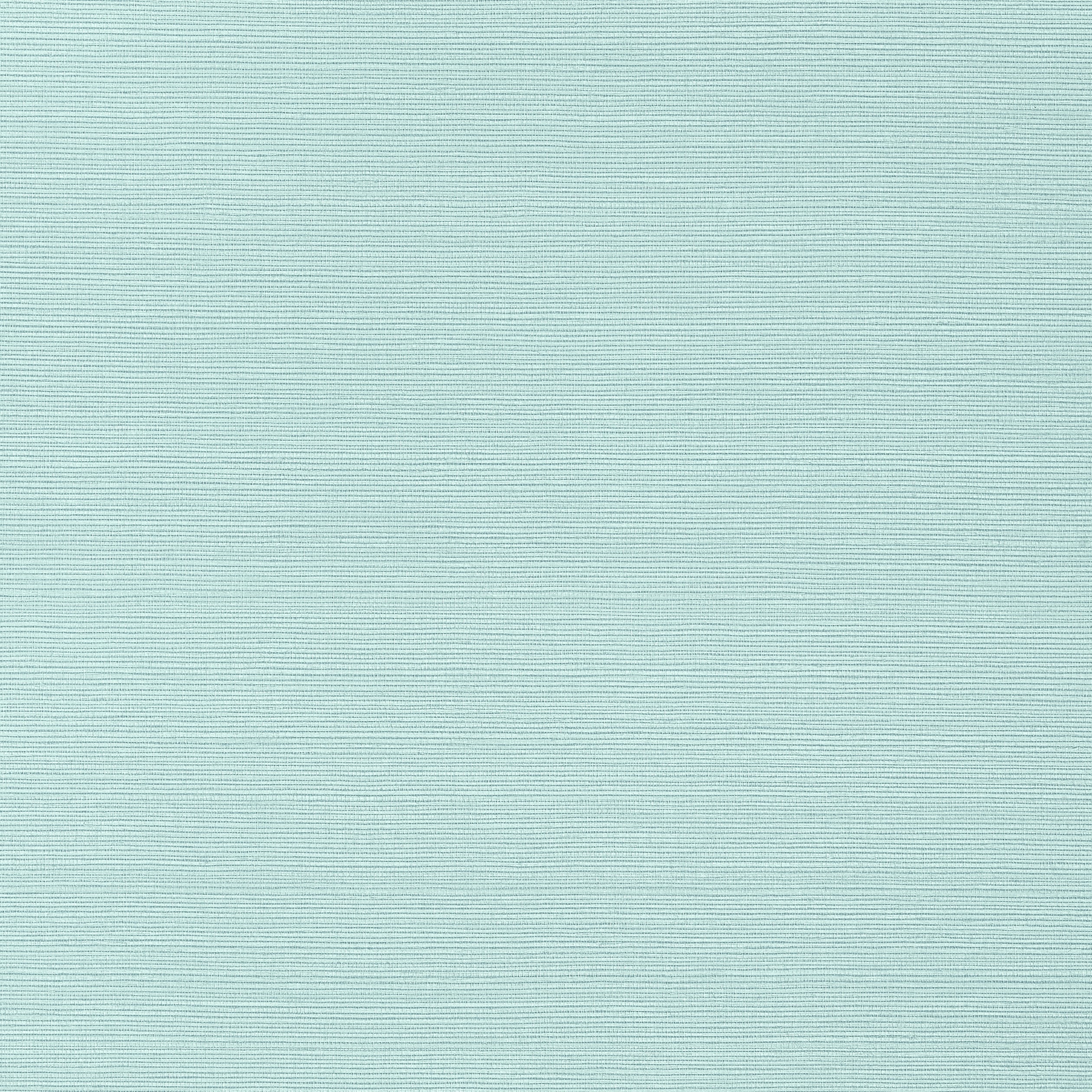 Thibaut Taluk Sisal Behang T285 - Turquoise