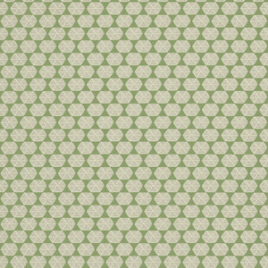 Thibaut Parada Behang T2926 - Moss