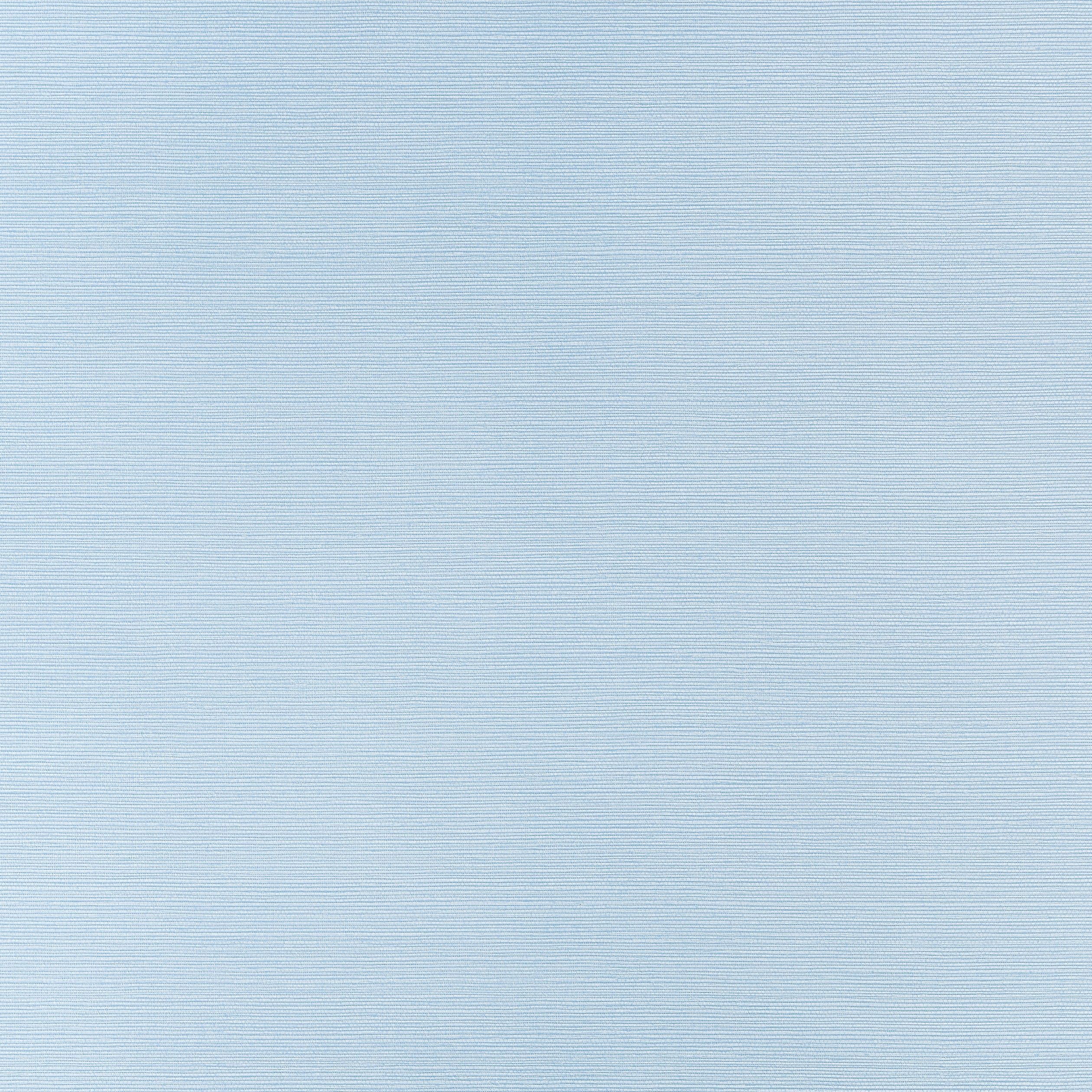 Thibaut Taluk Sisal Behang T34036 - Sky Blue