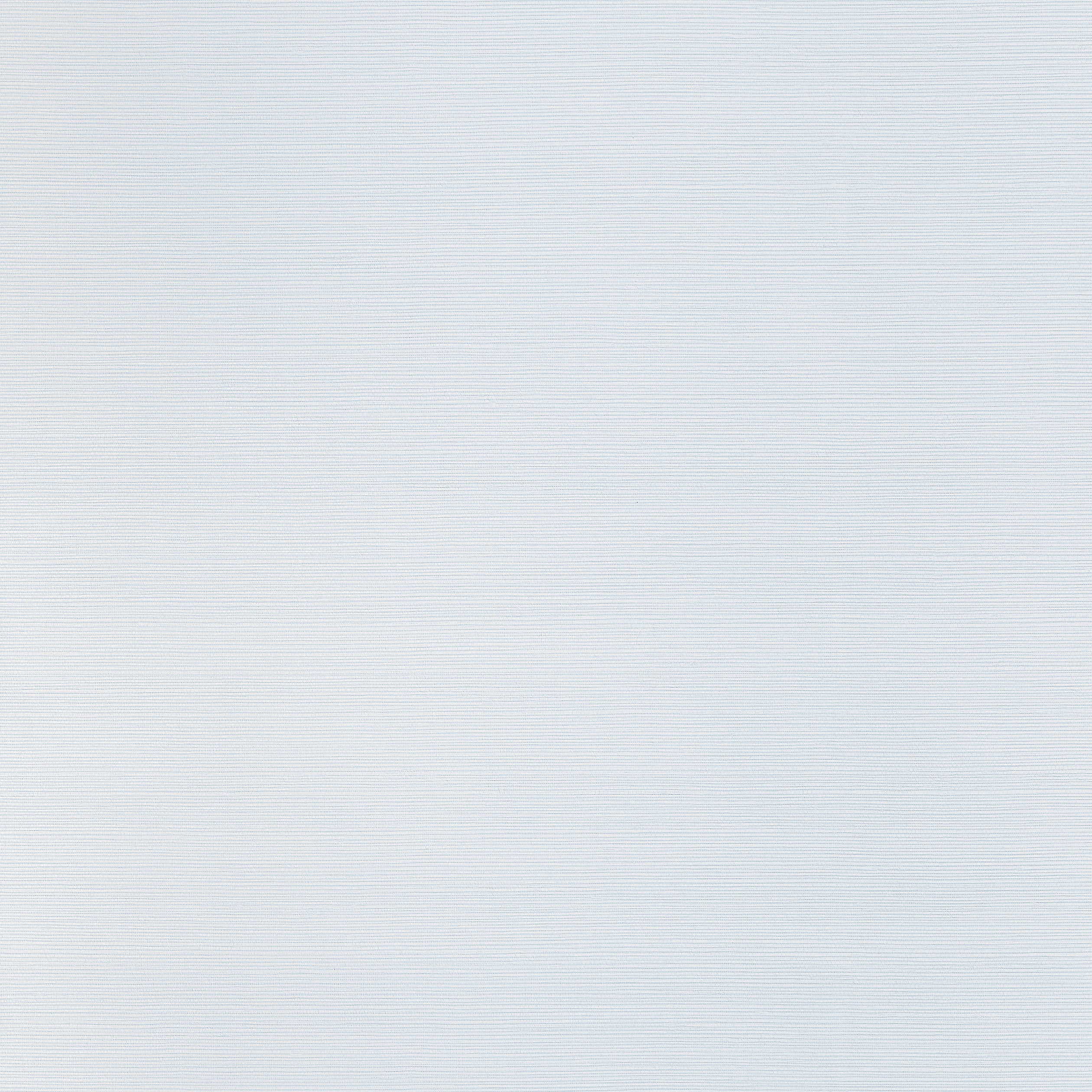 Thibaut Taluk Sisal Behang T34037 - Light Blue