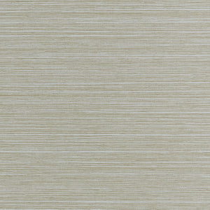 Thibaut Tenaya Behang T34068 - Fog