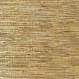 Thibaut St. Martin Behang T3615 - Metallic Gold