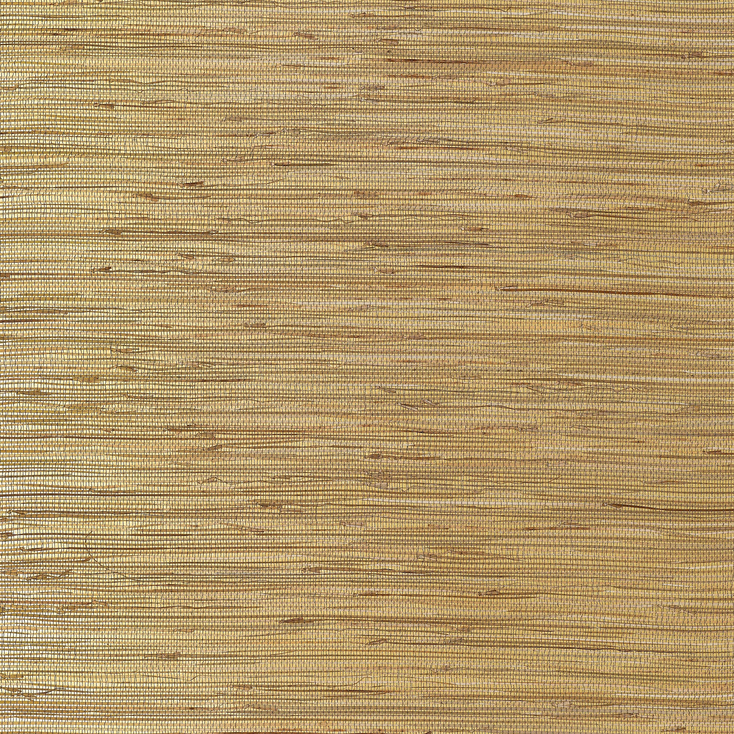 Thibaut St. Martin Behang T3615 - Metallic Gold