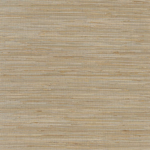Thibaut St. Martin Behang T3617 - Taupe