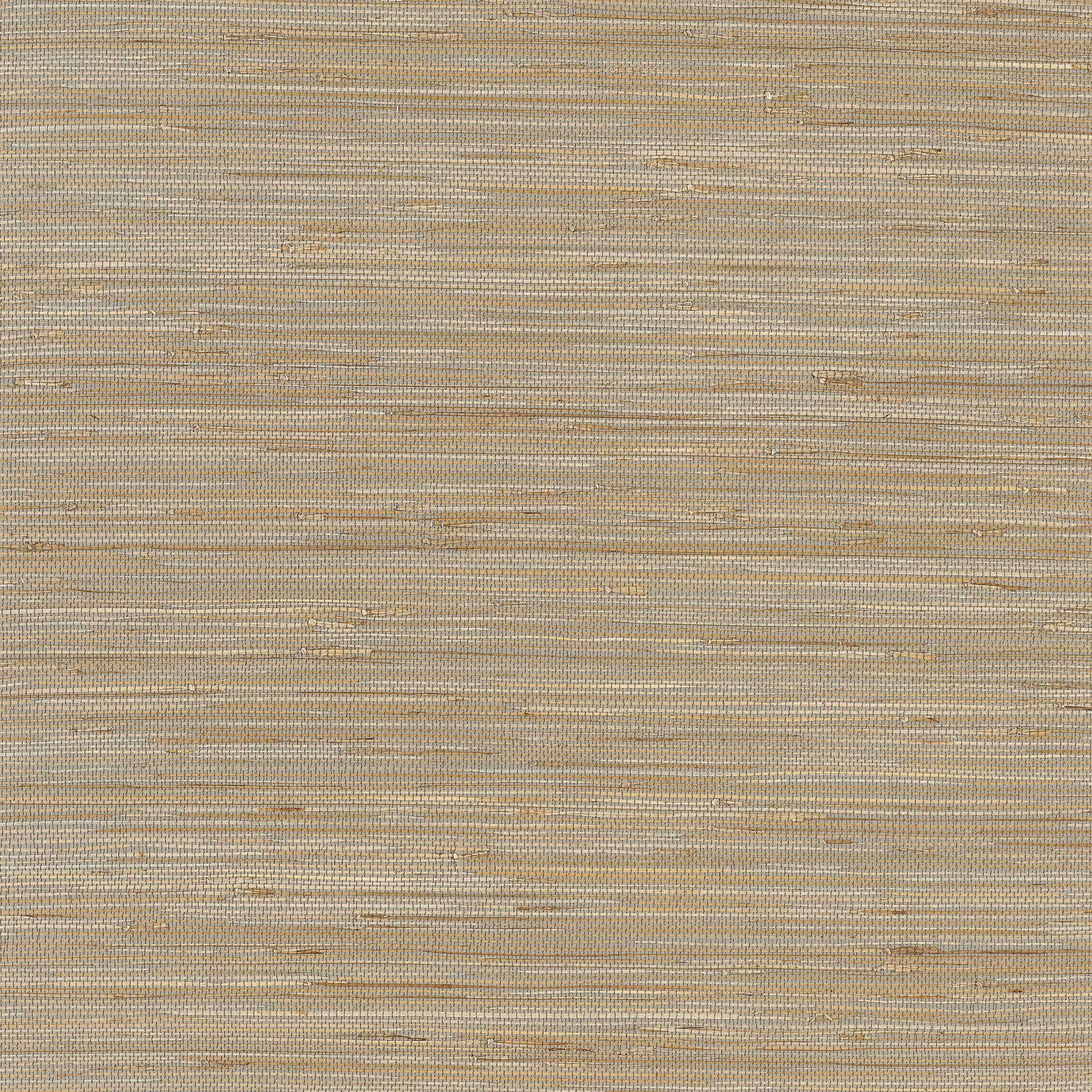 Thibaut St. Martin Behang T3617 - Taupe