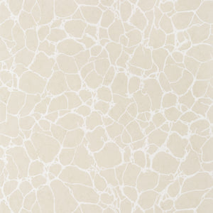 Thibaut Amato Behang T4014 - Beige