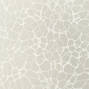 Thibaut Amato Behang T4017 - Metallic Pewter