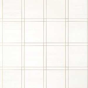 Thibaut Wood Panel Behang T41000 - White and Metallic Pewter