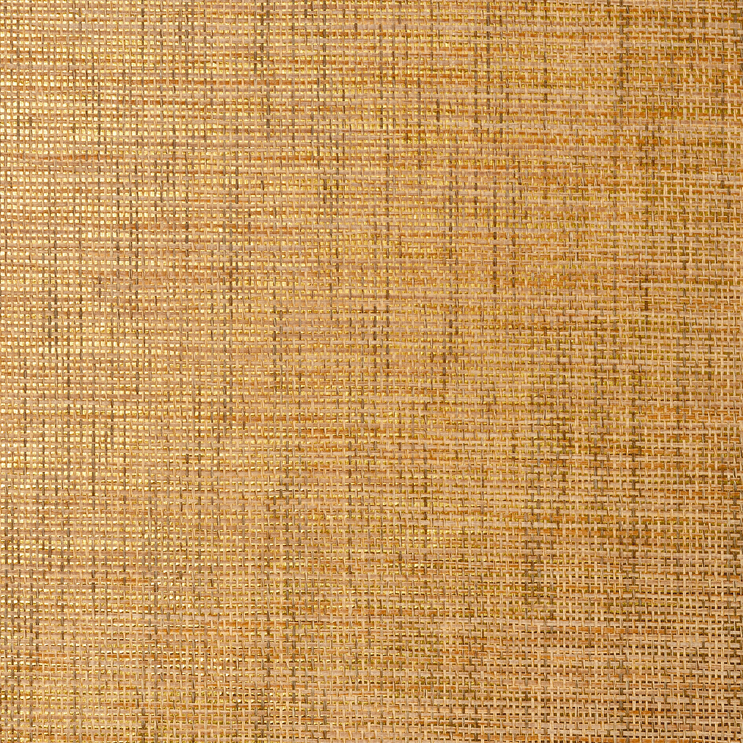 Thibaut Stablewood Behang T41148 - Metallic Gold