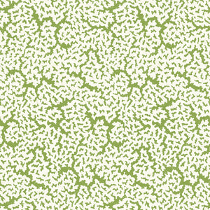 Thibaut Maldives Behang T42041 - Green