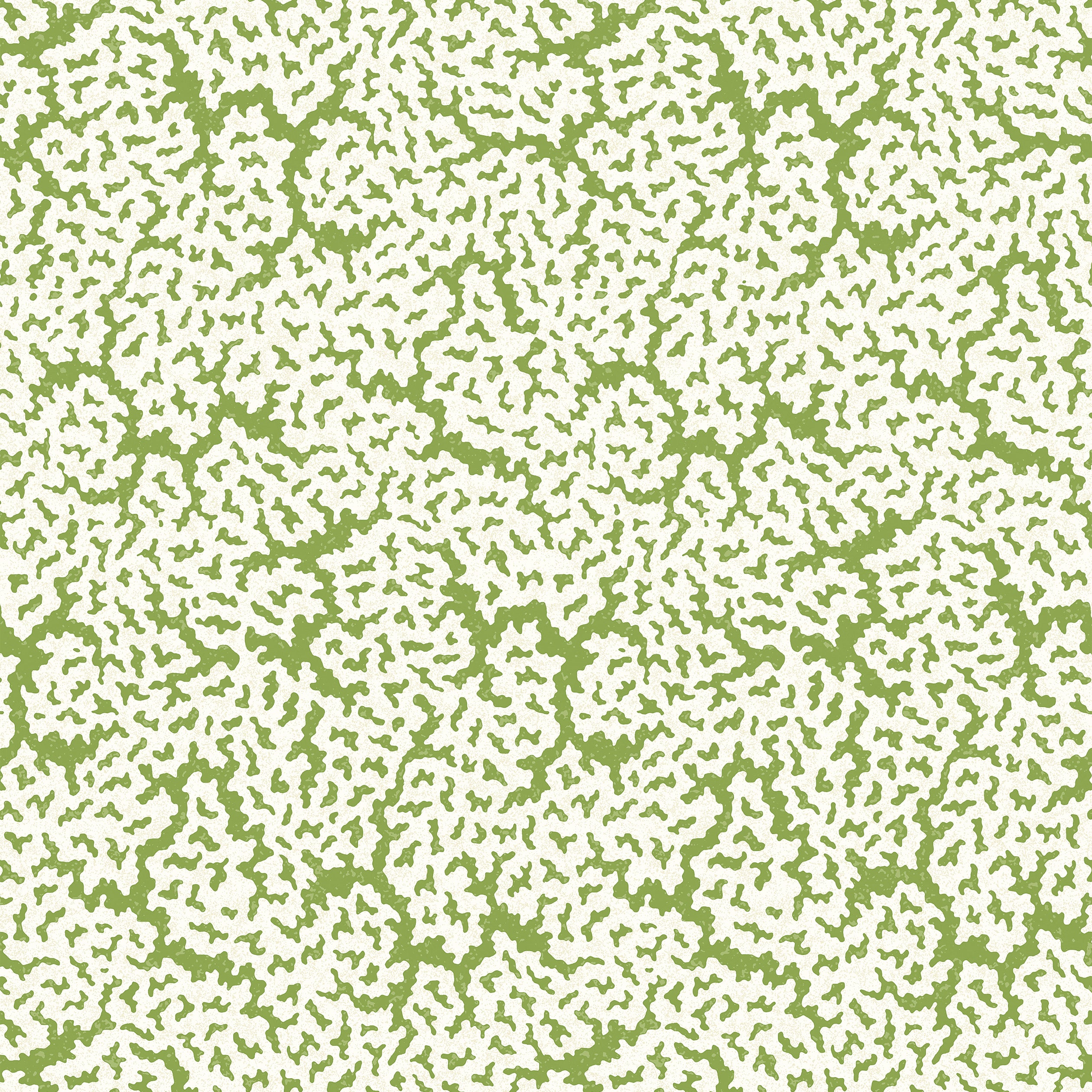 Thibaut Maldives Behang T42041 - Green
