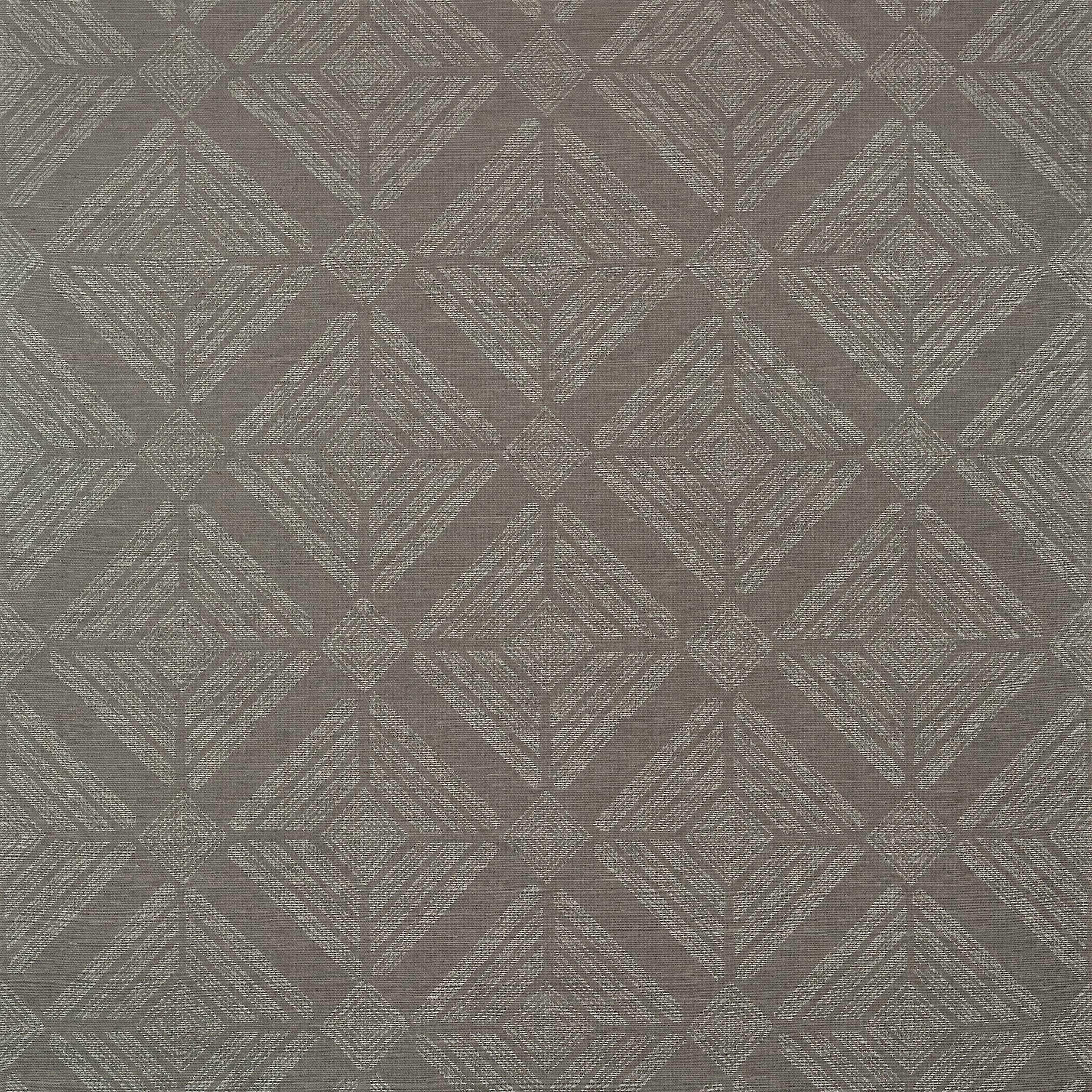 Thibaut Teramo Behang T431 - Steel