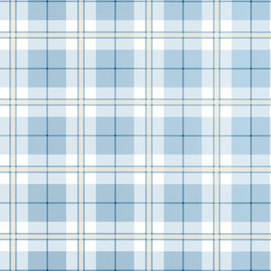 Thibaut Douglas Plaid Behang T44075 - Light Blue