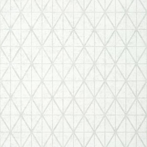 Thibaut Capella Behang T443 - Snow