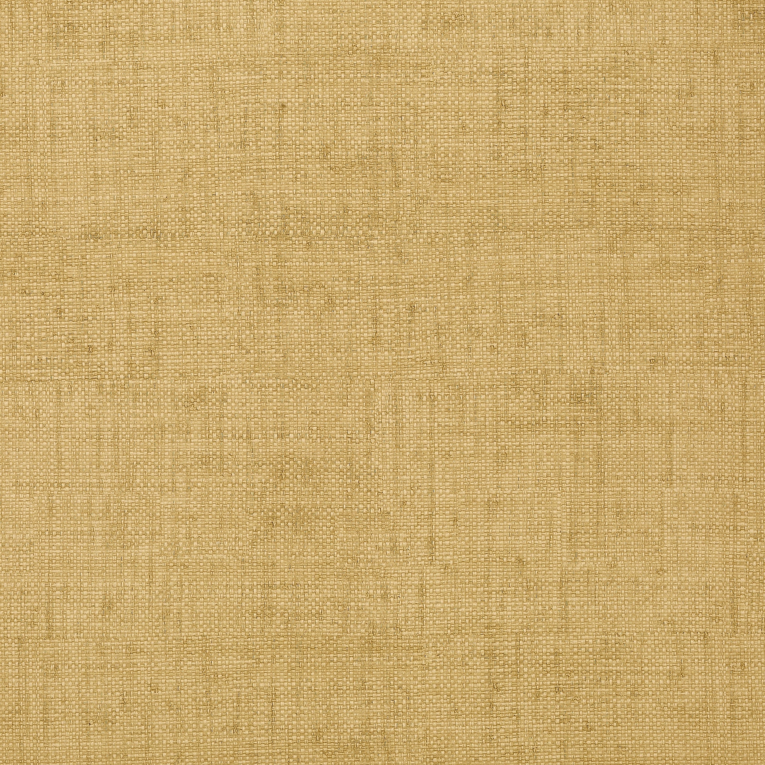 Thibaut Bankun Raffia Behang T6811 - Tobacco