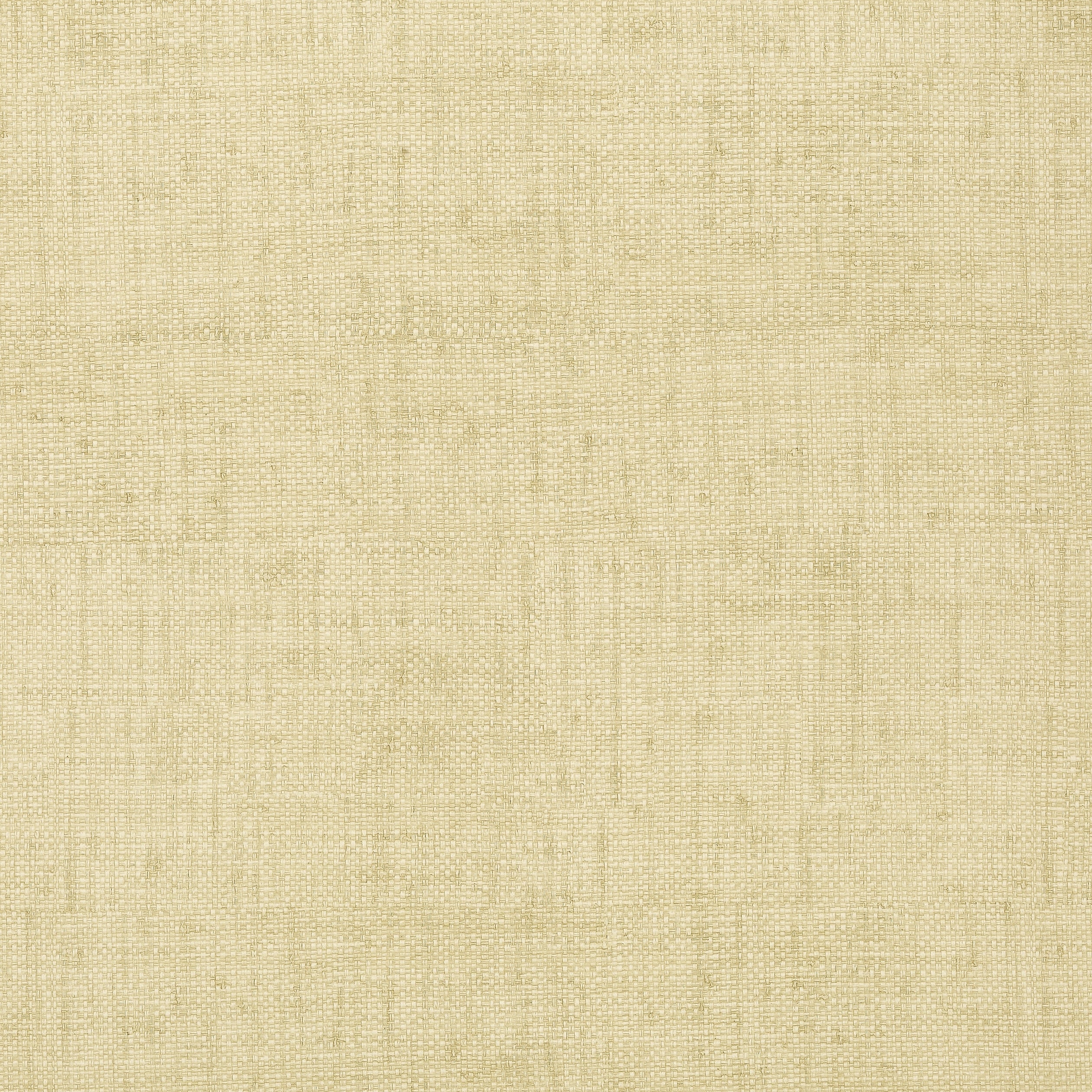 Thibaut Bankun Raffia Behang T6812 - Sand