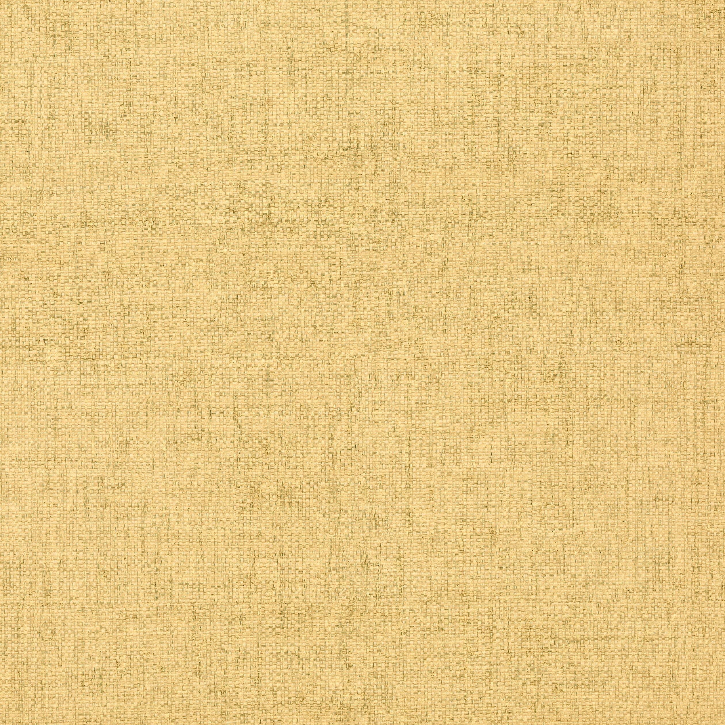 Thibaut Bankun Raffia Behang T6813 - Straw