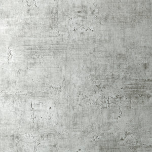 Thibaut Carro Behang T75129 - Metallic Silver