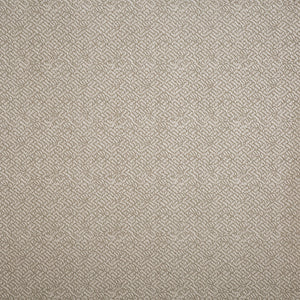 Lizzo Behang Tonalita 21572