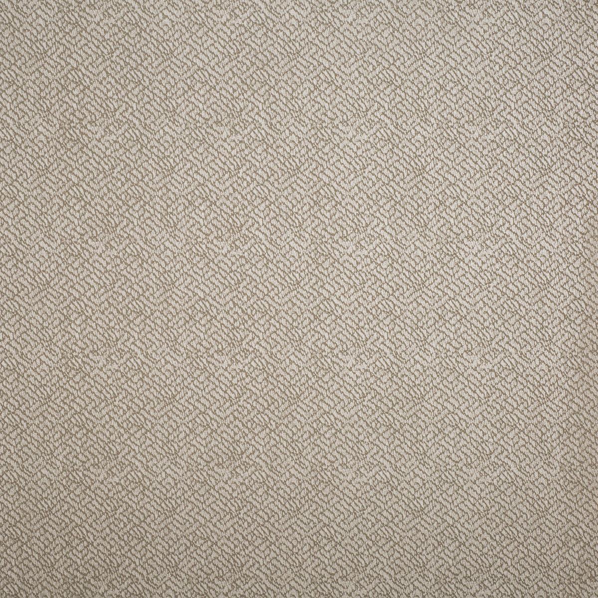 Lizzo Behang Tonalita 21572
