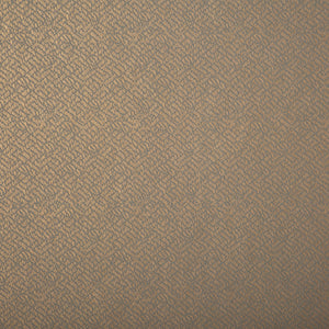 Lizzo Behang Tonalita 21573
