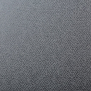 Lizzo Behang Tonalita 21574