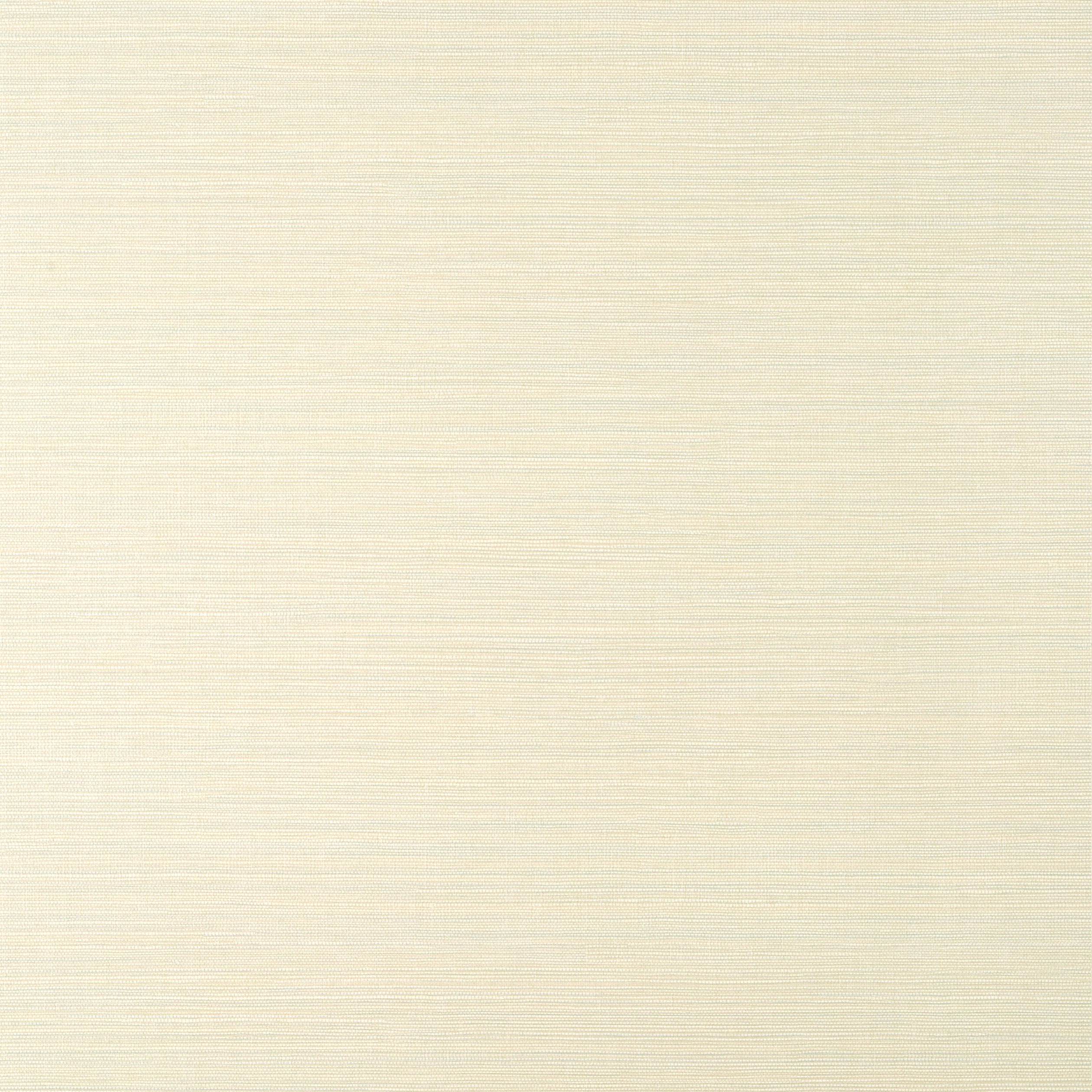 Thibaut Luta Sisal Behang TWW14523 - Off White and Mist
