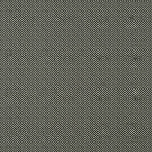 Thibaut Rimba Wide Width Behang TWW14546 - Black