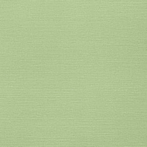 Thibaut Taluk Sisal Behang TWW287 - Spring