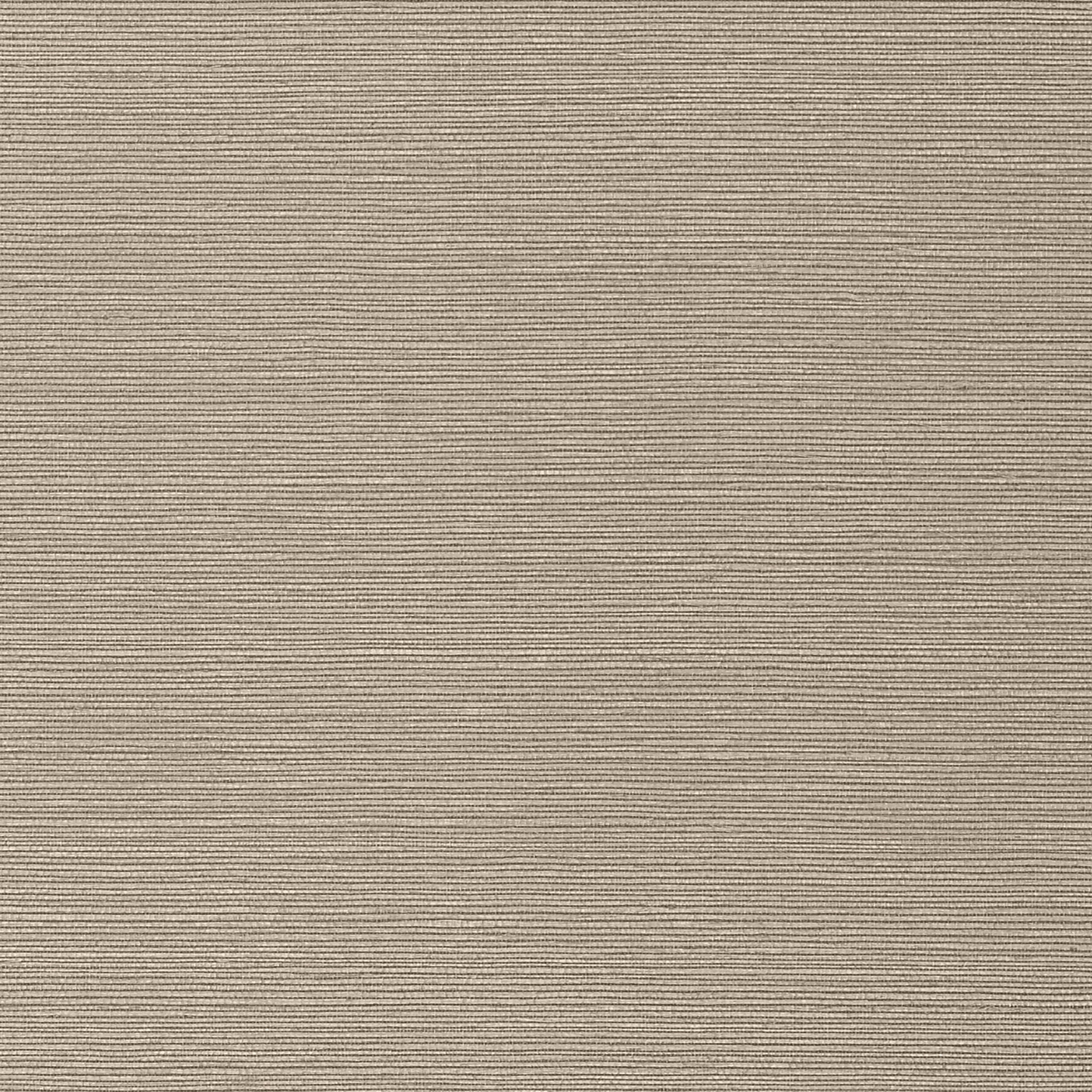 Thibaut Taluk Sisal Behang TWW75147 - Mushroom