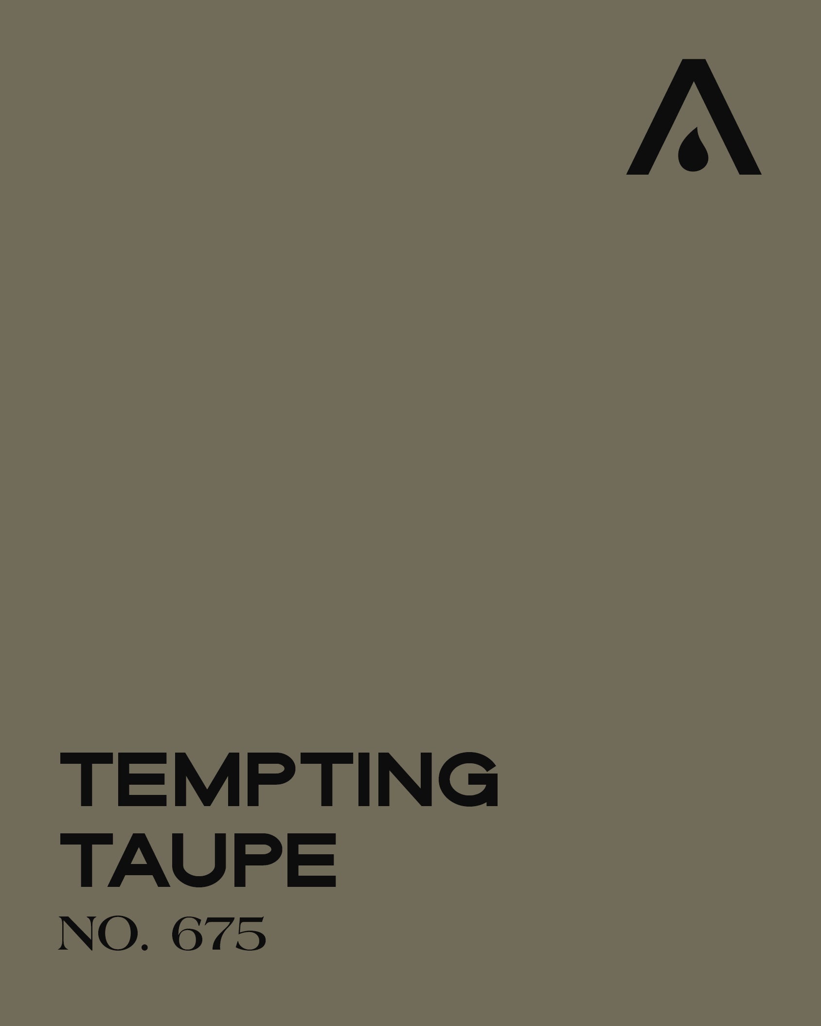 TEMPTING TAUPE NO. 675