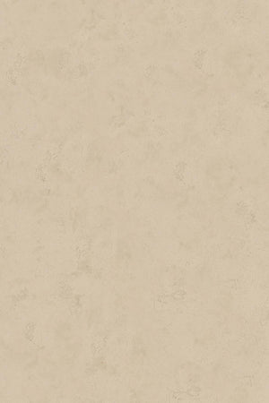 HookedOnWalls Passe Partout 2026 Colour Vibes 29822