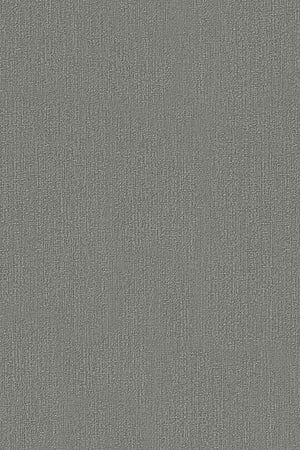 HookedOnWalls Passe Partout 2026 Colour Vibes 29928