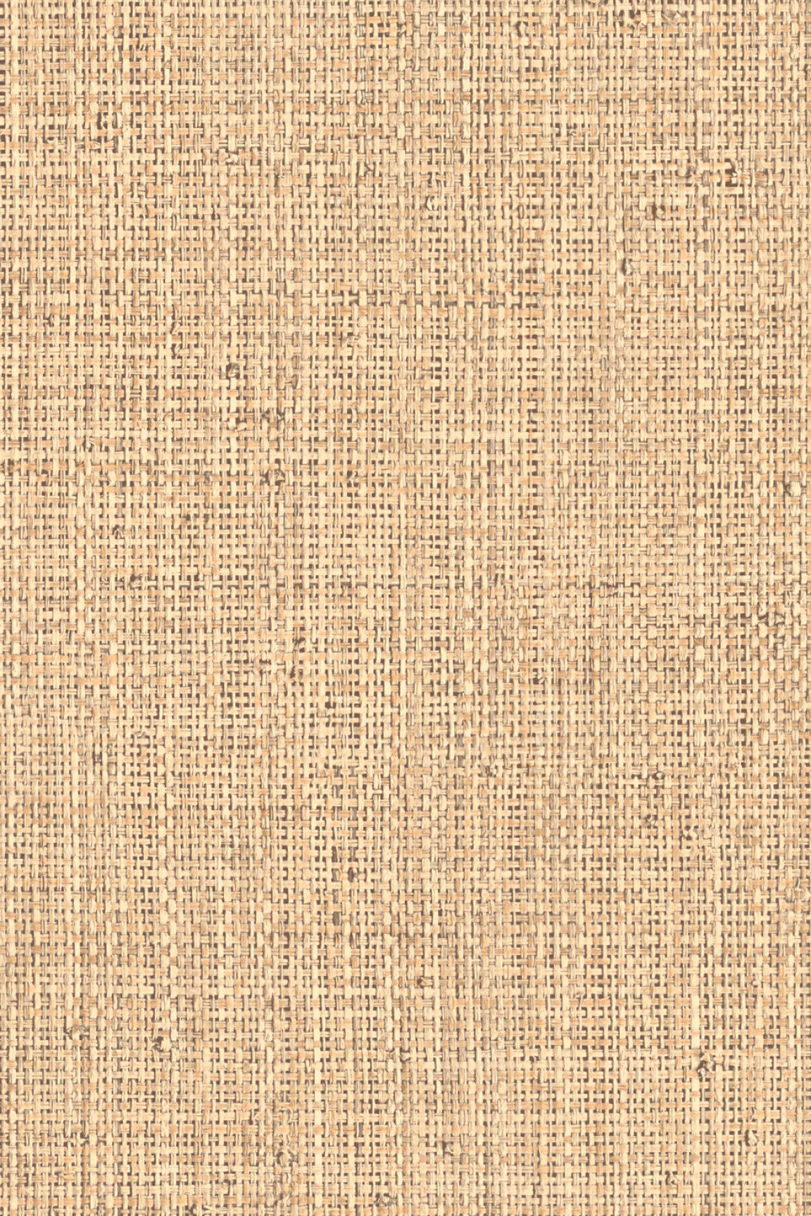 ARTE Nongo Neutrals Vinyl 49511B afbeelding 1 