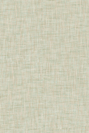 HookedOnWalls Passe Partout 2026 Colour Vibes 29947